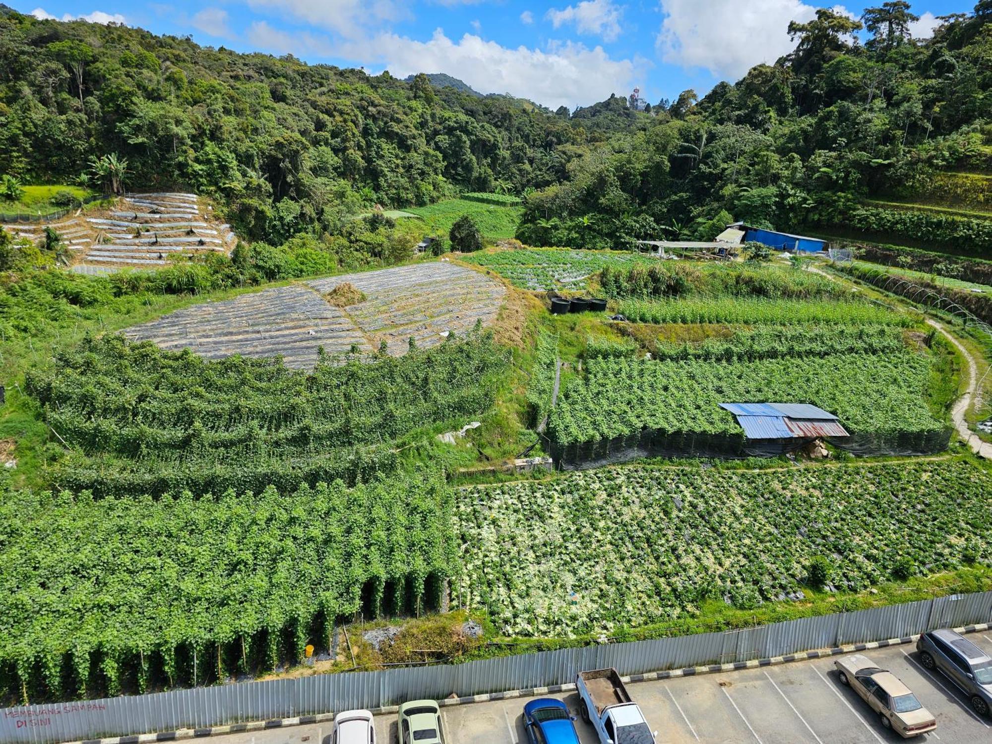 Rhino Home Tanah Rata Bagian luar foto